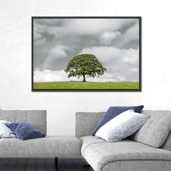 Summer Oak on Grassy Hill Canvas Wall Art