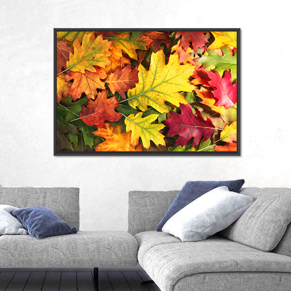 Colorful Oak Autumn Season Leaves Canvas Wall Art