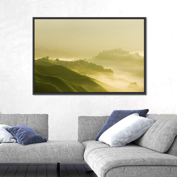 Tea Plantation At Cameron Highland Malaysia Canvas Wall Art