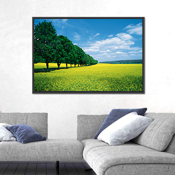 Spring Fields And Allee In Summer Canvas Wall Art