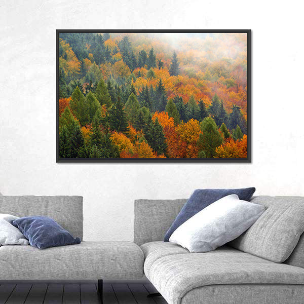 Foggy Autumn Forest In Romania Canvas Wall Art