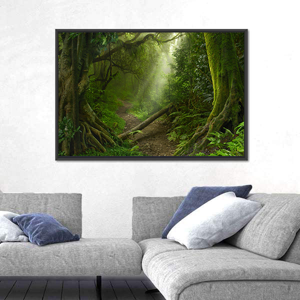 Asian Rain Forest With Sun Rays Canvas Wall Art