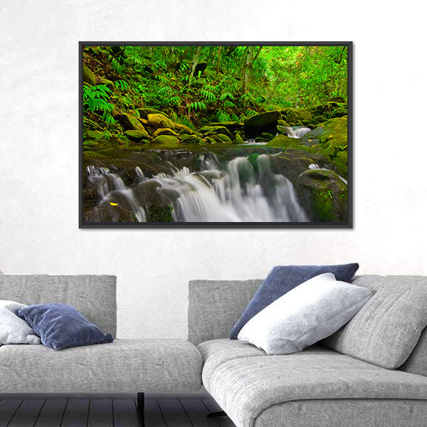 Stream Flowing Through Lush Jungle In Maui Hawaii Canvas Wall Art