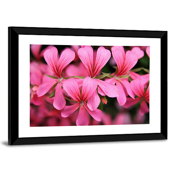 Pink Geranium Cascade Flowers Canvas Wall Art in pink, framed print, product view on a white background