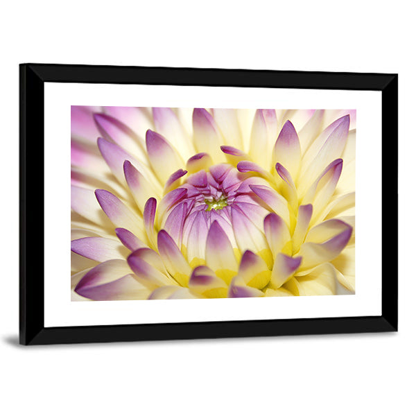 Macro Pink Flower Canvas Wall Art
