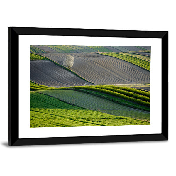Wavy Fields In Poland Canvas Wall Art in gray, brown and green, framed print, product view on a white background