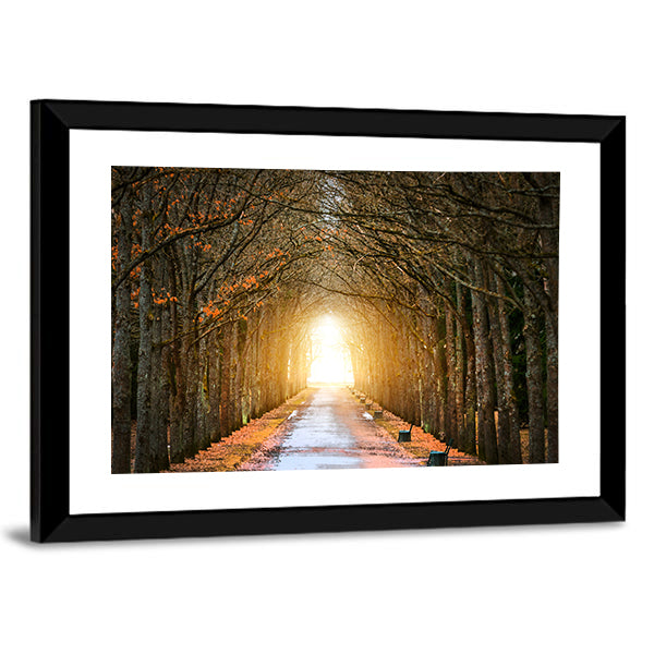 Autumn Tree Tunnel with Benches Canvas Wall Art in brown, orange and yellow, framed print, product view on a white background