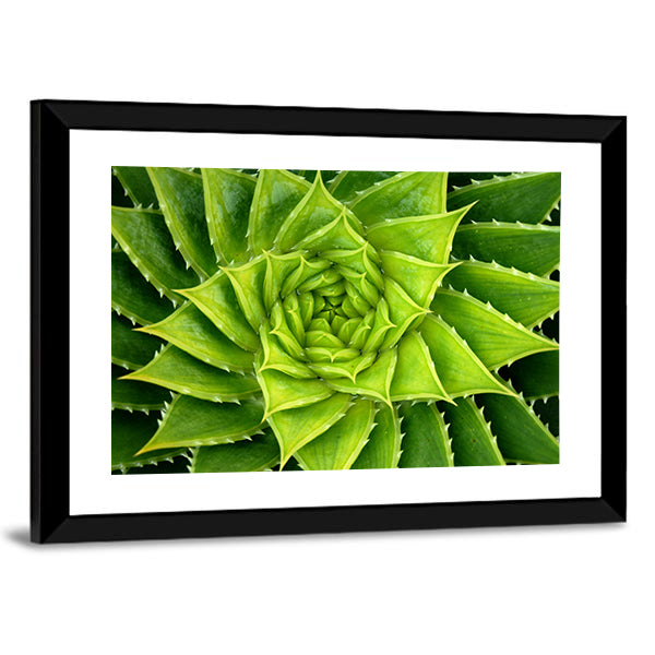 Vivid Green Spiral Aloe Plant Canvas Wall Art in green, framed print, product view on a white background