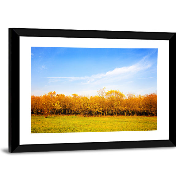 Autumn Meadow with Golden Leaves Canvas Wall Art