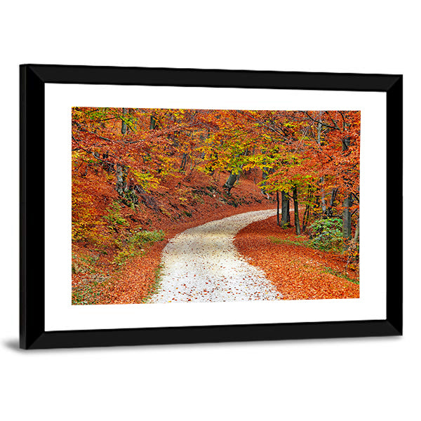 Autumn Misty Forest In Fall Canvas Wall Art