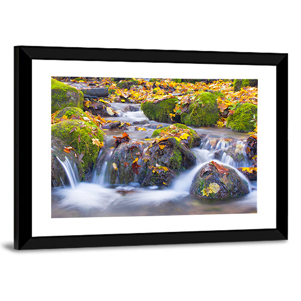 Cascade Waterfall In Autumn Forest Canvas Wall Art