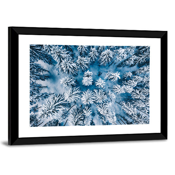 Trees And Snow In Winter Forest Canvas Wall Art