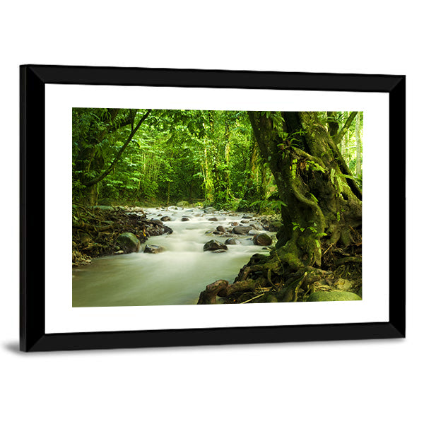 Tropical River At Selangor State In Malaysia Canvas Wall Art in brown and green, framed print, product view on a white background