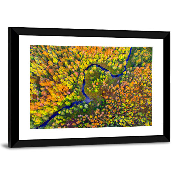 River In Autumn Forest Canvas Wall Art