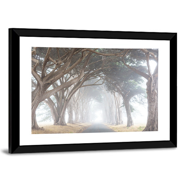 Misty Trees Alley In Foggy Weather Canvas Wall Art