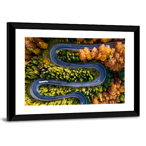 Winding Forest Road From Top Canvas Wall Art