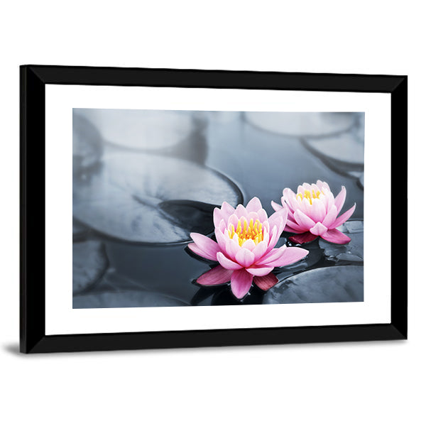 Pink Lotus Blossoms Canvas Wall Art in black, gray and pink, framed print, product view on a white background