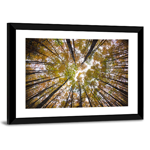 Autumn Forest Treetops Canvas Wall Art in brown, orange and yellow, framed print, product view on a white background