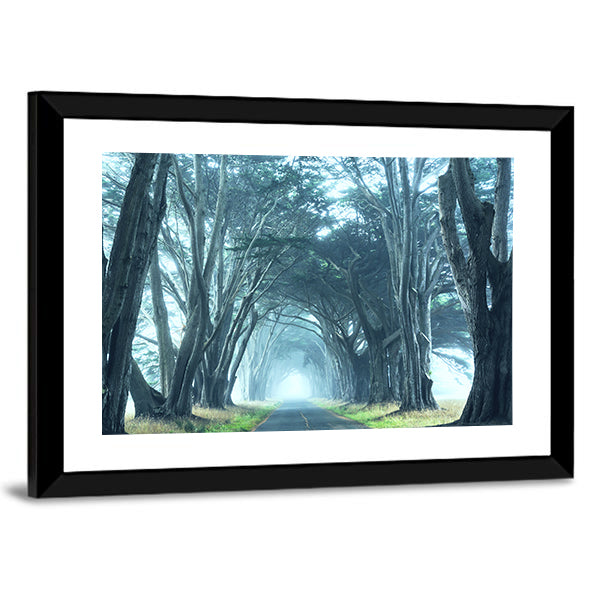 Misty Trees Alley In Foggy Weather Canvas Wall Art