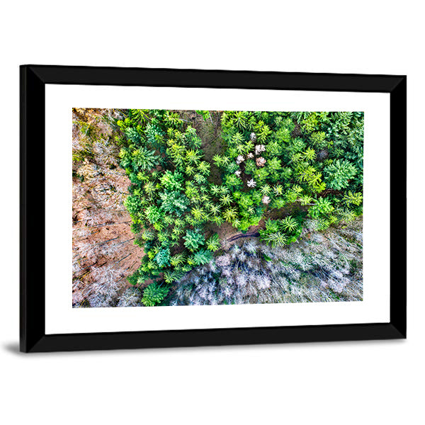 Aerial View Of Trees In The Vosges Mountains In Alsace France Canvas Wall Art