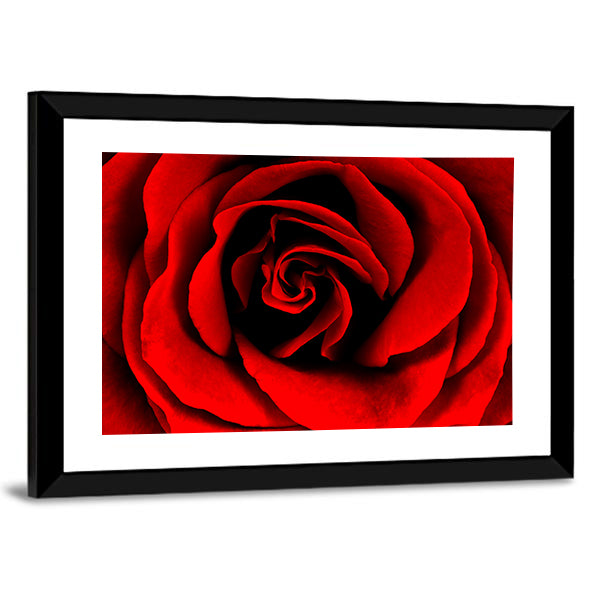 Closeup Of A Red Rose Canvas Wall Art in black and red, framed print, product view on a white background