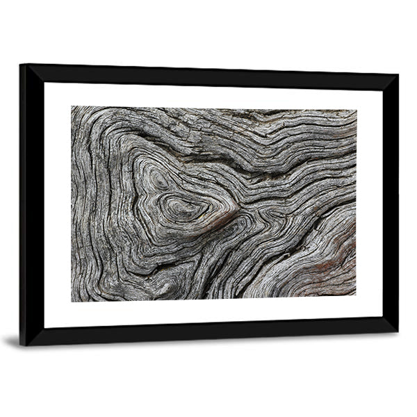 Weathered Wood Grain Macro Canvas Wall Art