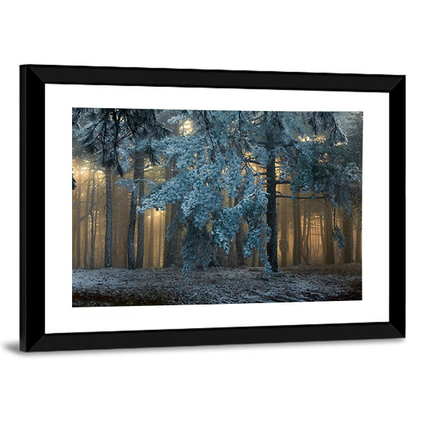 Fog In The forest In Uludag Turkey Canvas Wall Art