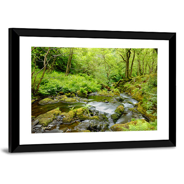 Dolgoch Falls In Wales UK Canvas Wall Art