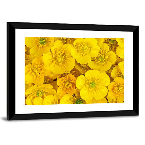 Yellow Wild Buttercups Canvas Wall Art