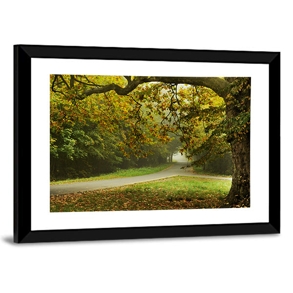 Misty Autumn Forked Path Canvas Wall Art