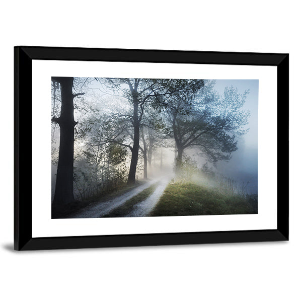 Foggy Forest Path at Sunrise Canvas Wall Art