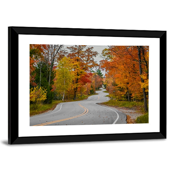Winding Road In Wisconsin Canvas Wall Art