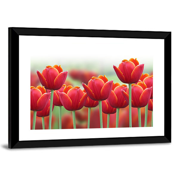 Spring Tulip Flower Canvas Wall Art