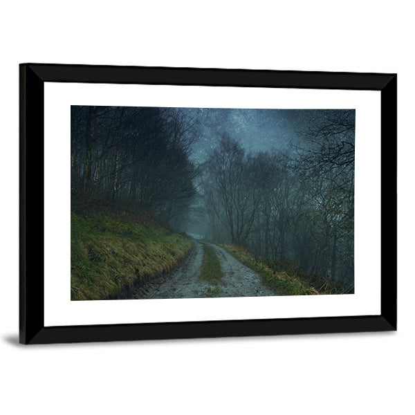 Foggy Forest Path Under Starry Sky Canvas Wall Art