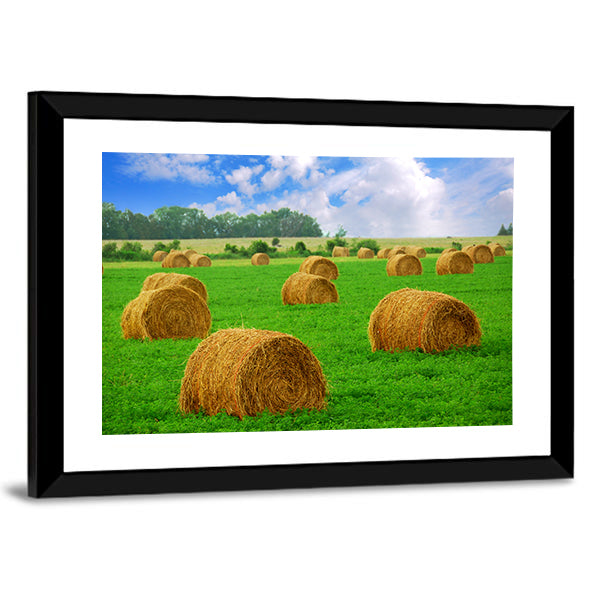 Hay Bales in a Field Canvas Wall Art