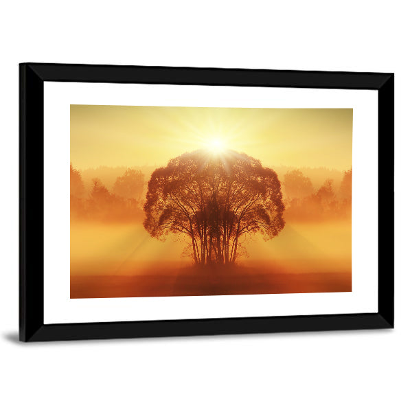 Lone Tree in Golden Morning Mist Canvas Wall Art