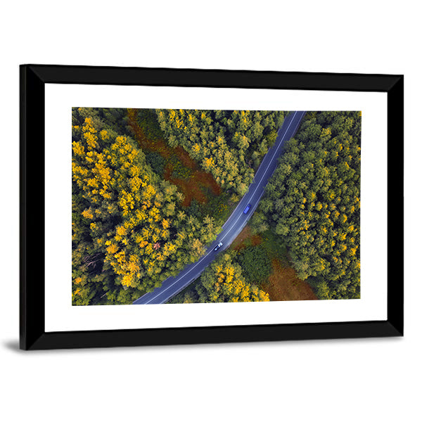 Travel Through Forest Canvas Wall Art