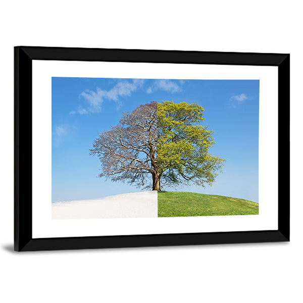 Tree Split Between Winter and Summer Canvas Wall Art