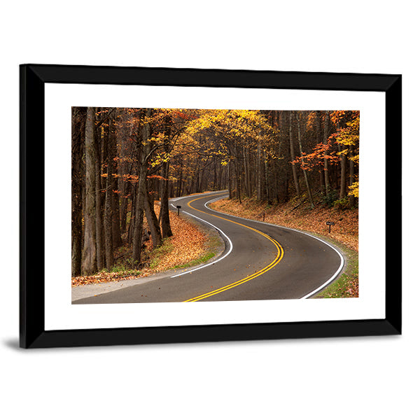 S-curve Road in Great Smokey Mountains Canvas Wall Art