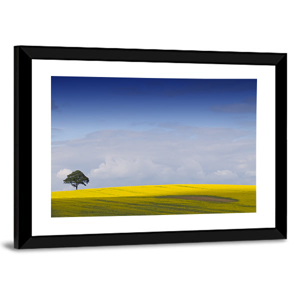 Yellow Rapeseed Field with Lone Tree Canvas Wall Art