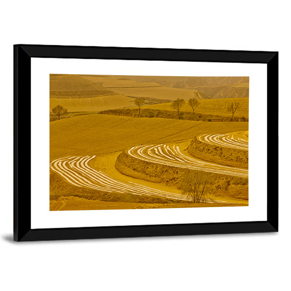 Loess Plateau Terraced Fields Canvas Wall Art