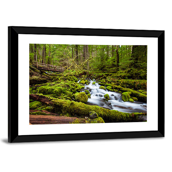 Sol Duc Falls Trail In Olympic National Park Canvas Wall Art