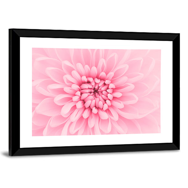Pink Chrysanthemum Petals Canvas Wall Art