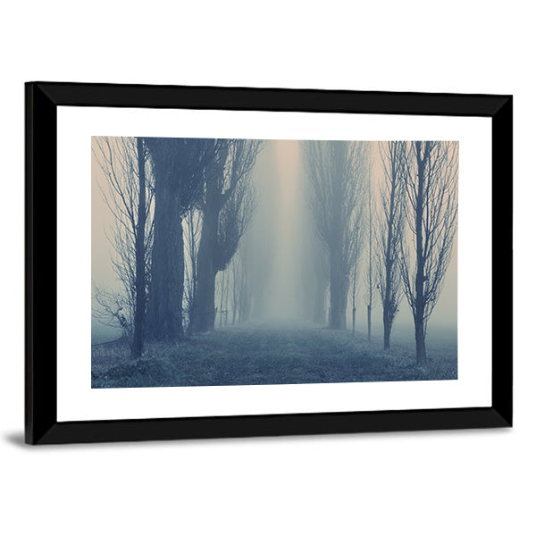 Autumn Fog in the Old Forest Canvas Wall Art