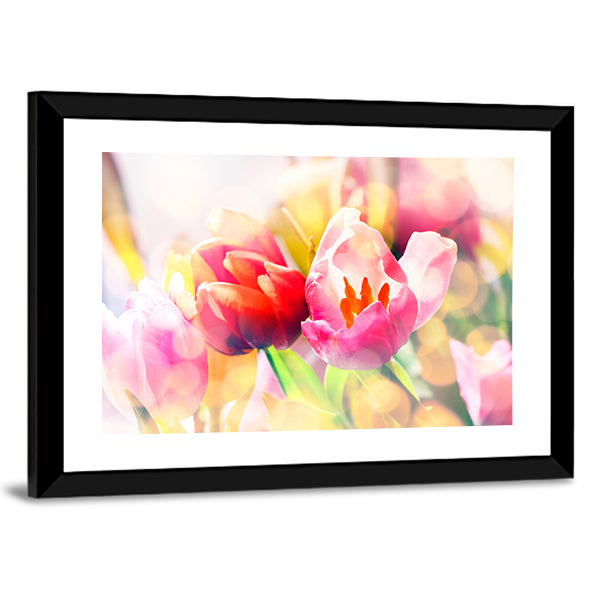Colorful Spring Tulips Canvas Wall Art
