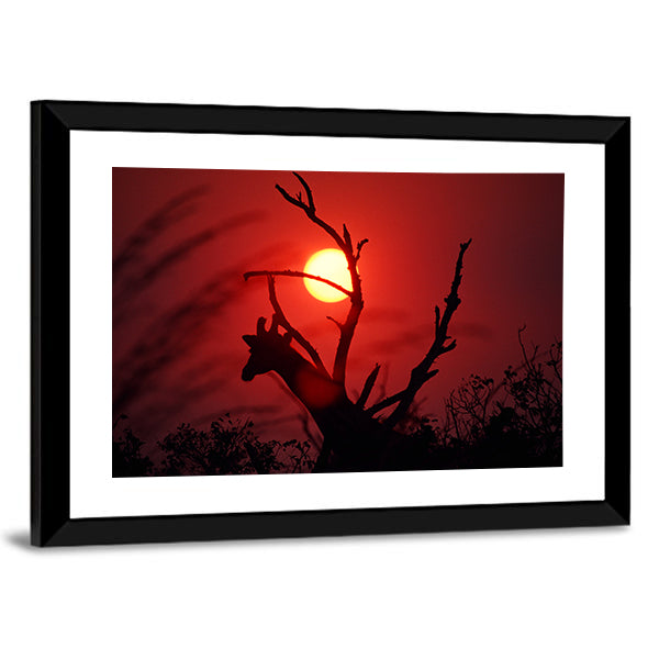 An African Sunset In Mikumi Forest Tanzania Canvas Wall Art in black, red and orange, framed print shown in a room