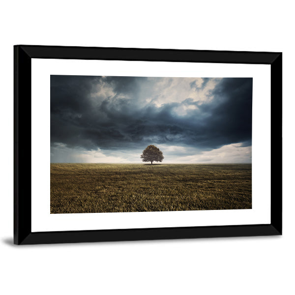 Tree In Field Under Storm Clouds Canvas Wall Art