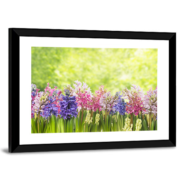 Blooming Spring Hyacinths Flowers Plant In Garden Canvas Wall Art