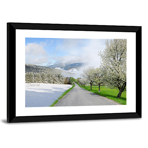Road Between Winter and Spring Canvas Wall Art