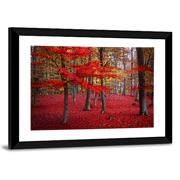 Red Trees In The Forest During Fall Canvas Wall Art